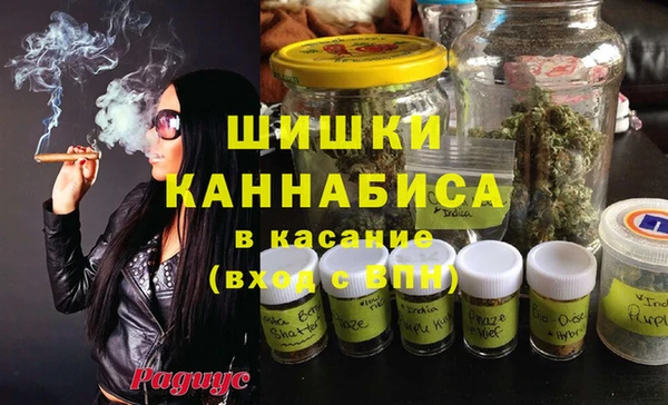 амф Аркадак