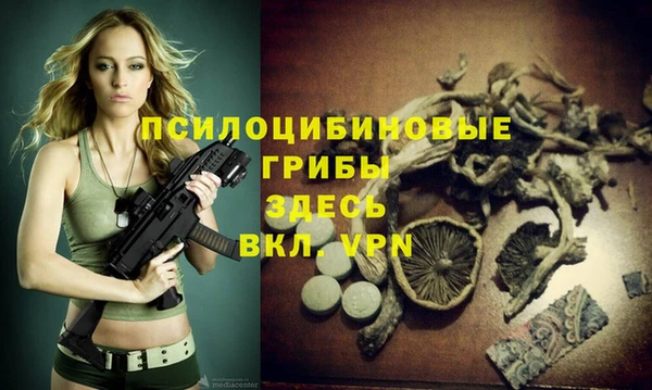 амф Аркадак