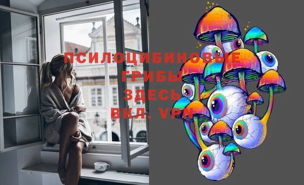 синтетический гашиш Арсеньев