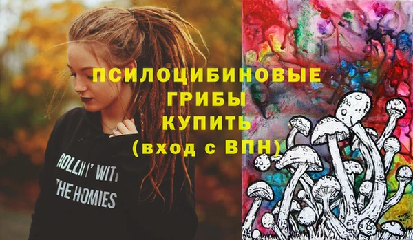 амф Аркадак