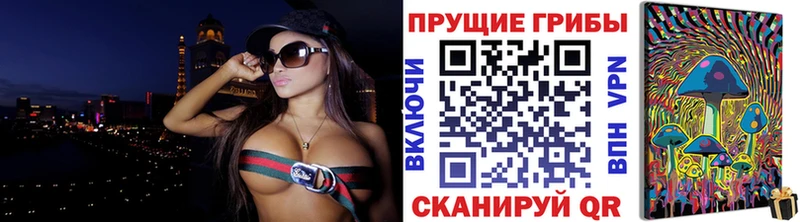 закладки  Кировск  Псилоцибиновые грибы Magic Shrooms 